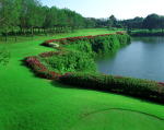 u[LjIStR[X / Bluecanyon Golf Course